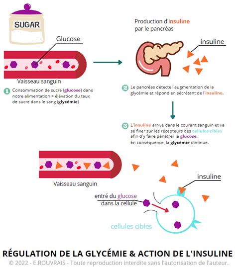 R Sistance Insuline Comprendre Les Cons Quences Sur Notre Sant