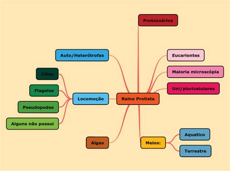 Mapa Conceptual Reino Protista Zuela Porn Sex Picture