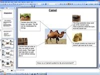 50 Education - Adaptations of Living Things ideas | adaptations, animal adaptations, teaching ...