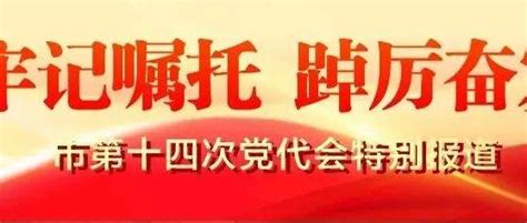 划重点！15张海报带您读懂党代会报告成都代表大会中国共产党