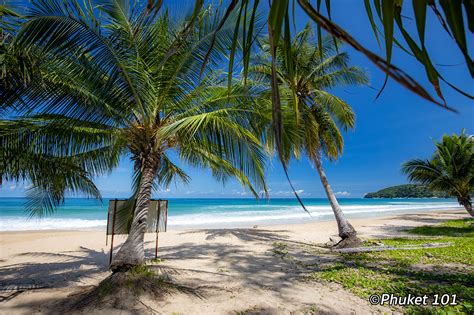 Karon Beach ⛱️ What to Do in Karon Beach? by PHUKET 101