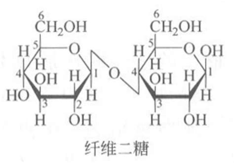 糖类的化学解读生命化学挂云帆