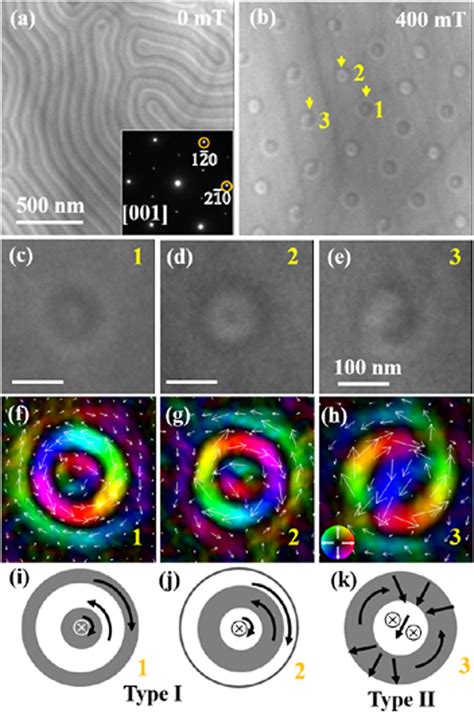 Figure From Skyrmion Bubble States And Their Magnetic Spin