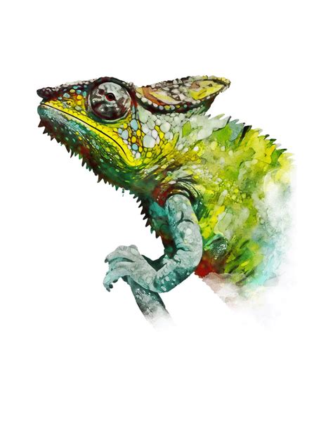 Colorful Chameleon Watercolor Painting Portrait by Watercolorcorner on ...