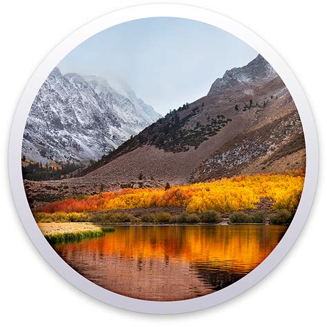 Macos High Sierra Logopng Spider Mac