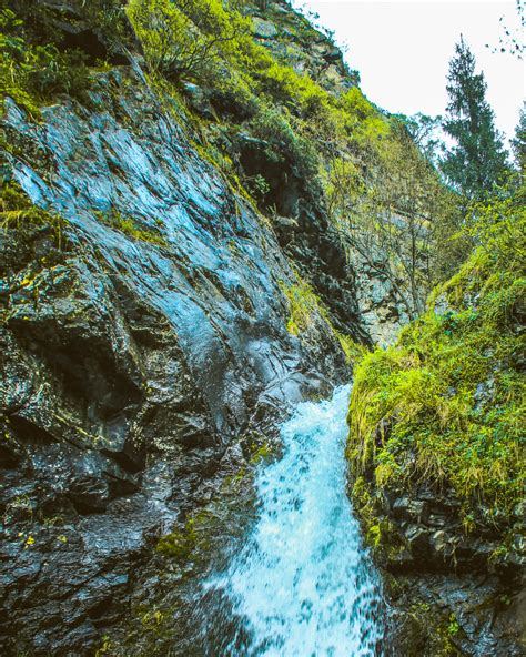 Kostenlose Foto Baum Wasser Natur Gew Sser Vegetation