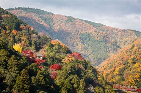 Senkō Ji Discover Kyoto