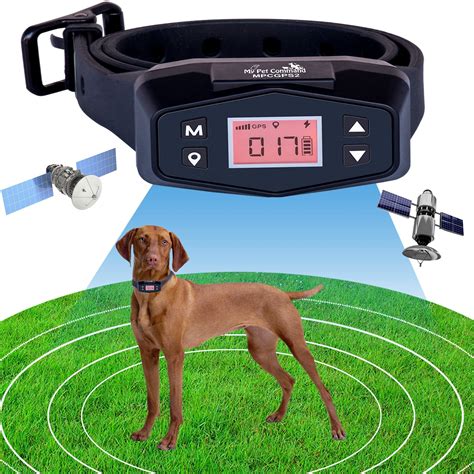 Gps Dog Fence Reviews Outlet Seller | flexi.sch.id