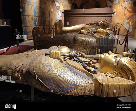 Museum dedicated to Tutankhamun in Cairo, Egypt. The ancient Egyptian ...