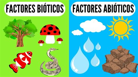 Que Son Los Factores Bioticos Y Abioticos Ejemplos De Factores Bioticos