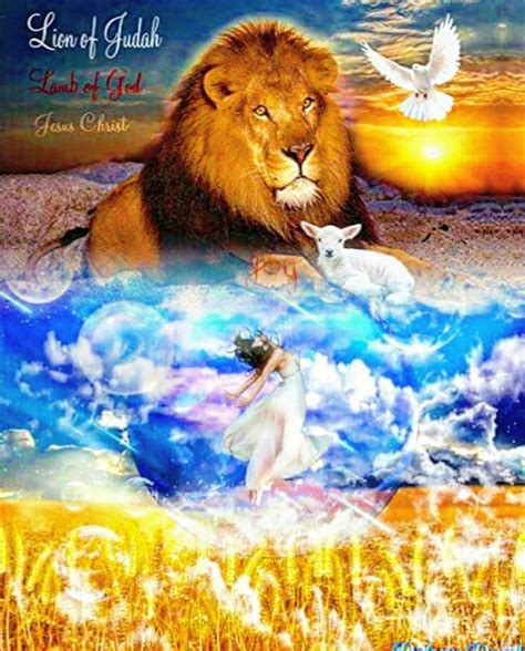 Pin By Cristo Viene Le Esperamos On Cristo Viene Le Esperamos Lion