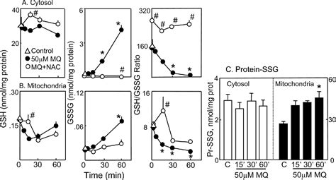 Figure From Contribution Of Mitochondrial Gsh Transport To Matrix Gsh