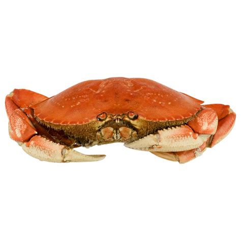 Save on Dungeness Crab Whole (Frozen) Order Online Delivery | GIANT