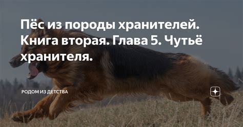 Пёс из породы хранителей. Книга вторая. Глава 5. Чутьё хранителя ...