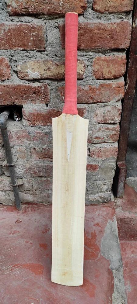 Brown Long Handle Kashmir Willow Cricket Bat At Rs 1000 Kashmir