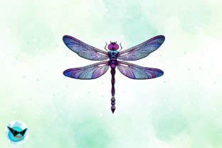 Dragonfly Sublimation Bundle 20 PNG Graphic By Swirltal Creative Fabrica