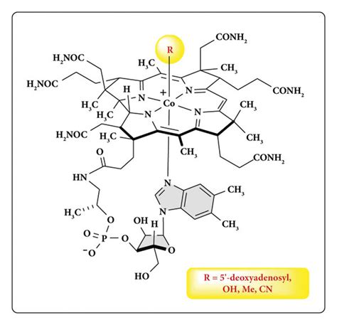 Vitamin B12 Chemical Structure And Forms R Is Bound To Cobalt From The Download Scientific