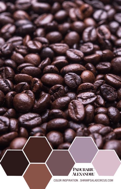 Counting Coffee Beans Color Inspiration Coffee Beans Paint Color