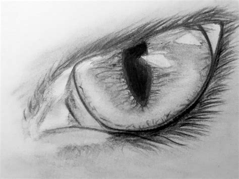 Werewolf Eyes Drawing