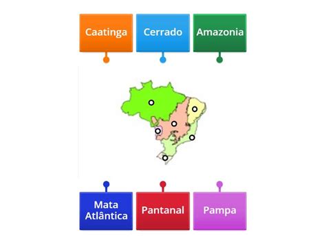 Biomas Brasileiros Labelled Diagram