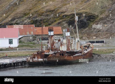 Rusting Whaling Ships Petrel And Viola Beached At Grytviken South