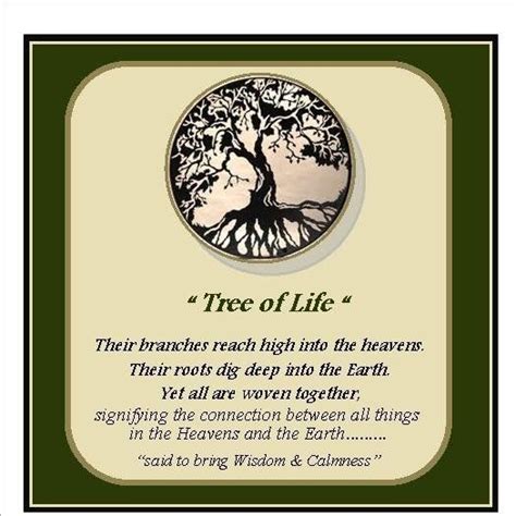 The Meaning Behind the Tree of Life