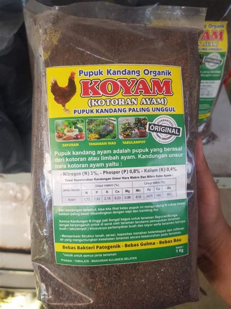 Kotoran Ayam Paling Bagus Untuk Sawit Dibanding Pupuk Kandang Lain