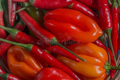 Chilli Pepper, Different Types and Colors, Close-up Photography Stock ...