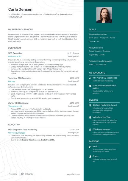 Seo Resume Examples And Guide For 2023 Layout Skills Keywords And Job Description Job