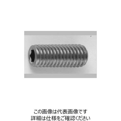 【アスクル】 ファスニング J Bc 鋼 六角穴付き止めねじ（ホーローセット）（くぼみ先） Tks 4 X 30