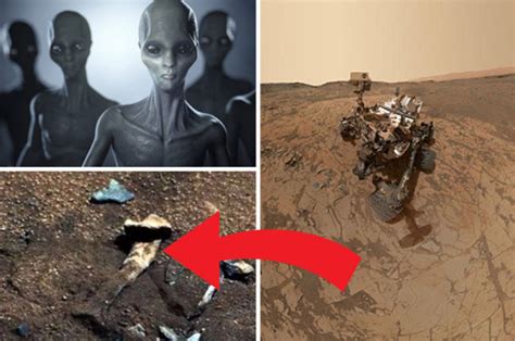 Alien News Bones Discovered On Mars By Nasa Curiosity Rover Daily Star