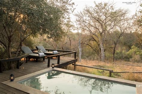 hotels  south africa   asia collective