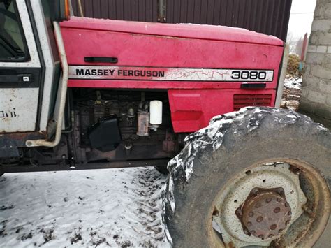 Massey Ferguson Brodnica Olx Pl