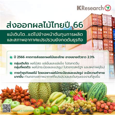 ศูนย์วิจัยกสิกรไทยวิเคราะห์ ส่งออกผลไม้ของไทยปี66 แม้เติบโต แต่ไป