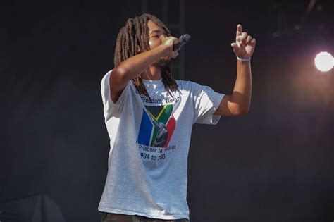 Earl Sweatshirt Live at Pitchfork [GALLERY] - Chicago Music Guide