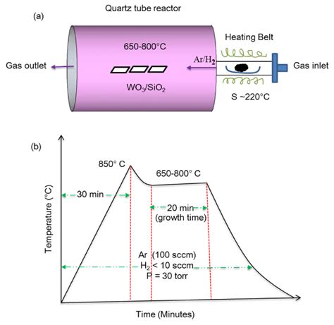 Figure S A Schematic Of The Experimental Setup Used For Lpcvd Growth