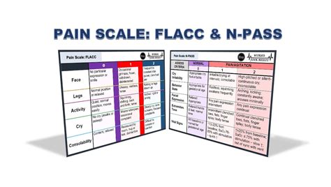 Pain Scale Flacc And Npass Digital Download Badge Buddy Etsy