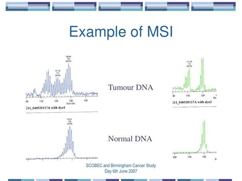 Ppt Microsatellite Instability Msi And Mutation Detection In Hnpcc