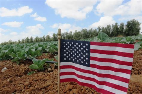 Us Flag Field Stock Photo Download Image Now American Flag Farm