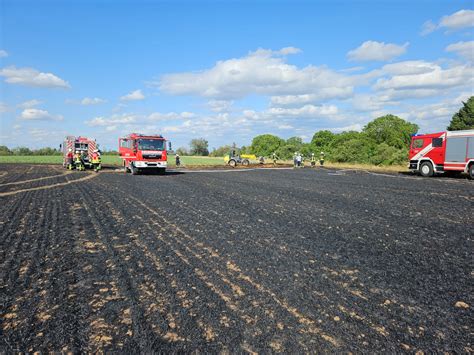 Fl Chenbrand Vegetationsbrand Freiw Feuerwehr Fl Rsheim Weilbach