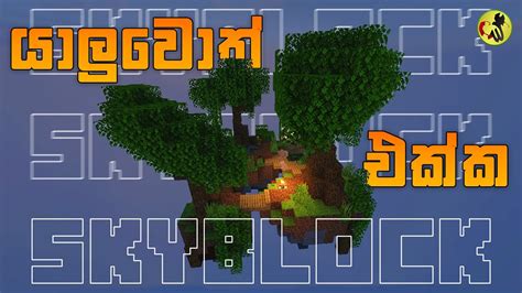 යාලුවොත් එක්ක SkyBlock | CWR Minecraft - YouTube