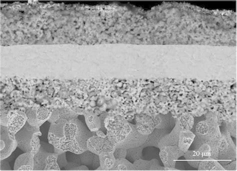 Fractured Cross Sectional Microstructure Of A Ni Fe Support Cell