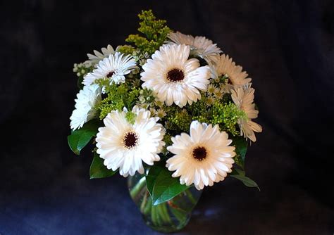 HD Wallpaper White Gerbera Daisies Centerpiece Flowers Bouquets