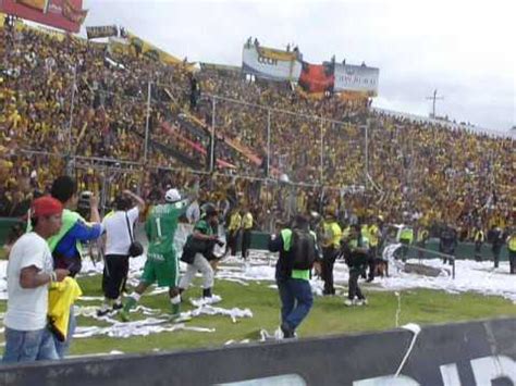 Macar Bsc Celebraci N De Los Jugadores De Bsc En El Triunfo