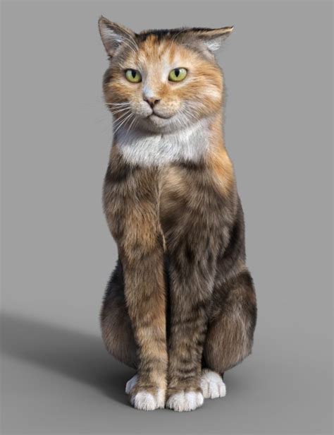 Calico For Cat Mars D Models For Daz Studio And Poser