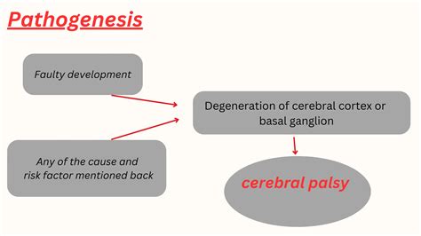 Etiology Of Cerebral Palsy Divided Into Natal Perinatal And Postnatal