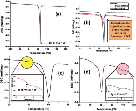 Dsc Analysis Of A Pcl Oh B Reduction In Intensity Of The Endotherm Download Scientific