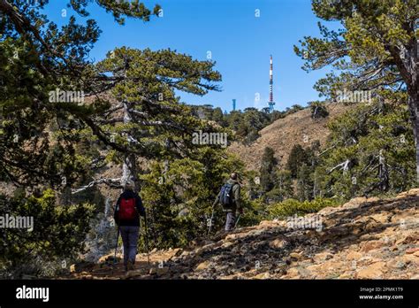 Hiking in the Troodos Mountains, Cyprus Stock Photo - Alamy