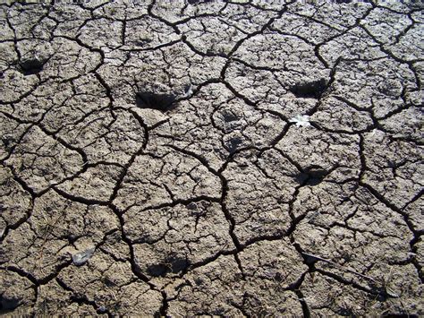 Dried up lake bed with deer tracks. | Smithsonian Photo Contest ...