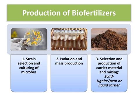 Biofertilizers